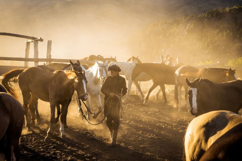 Gaucho with horses on the Patagonia Trail - Argentina