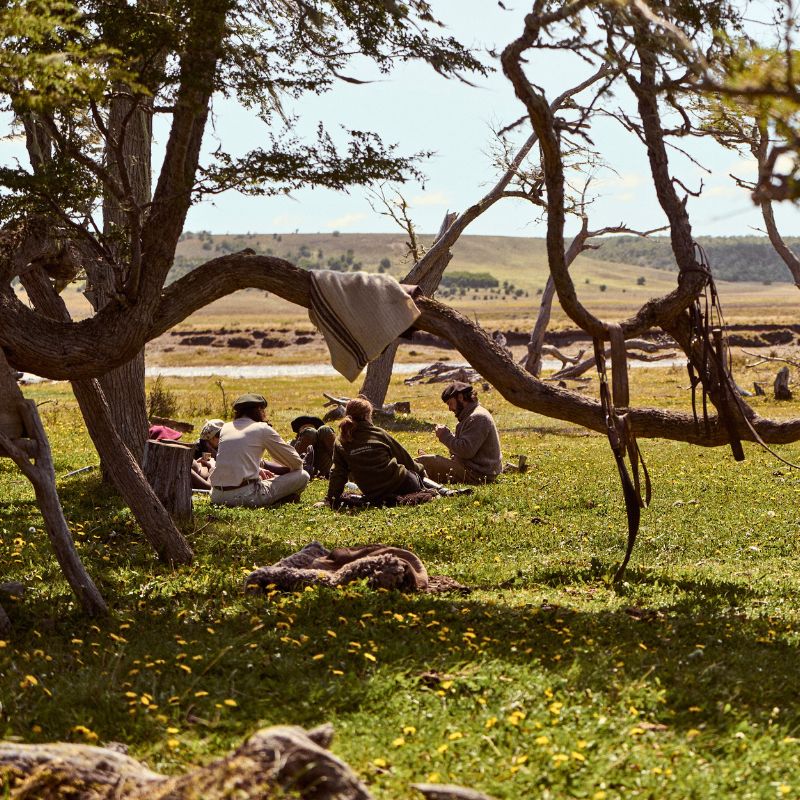 Picnics with horses Horse riding n Tierra del Fuego, Patagonia