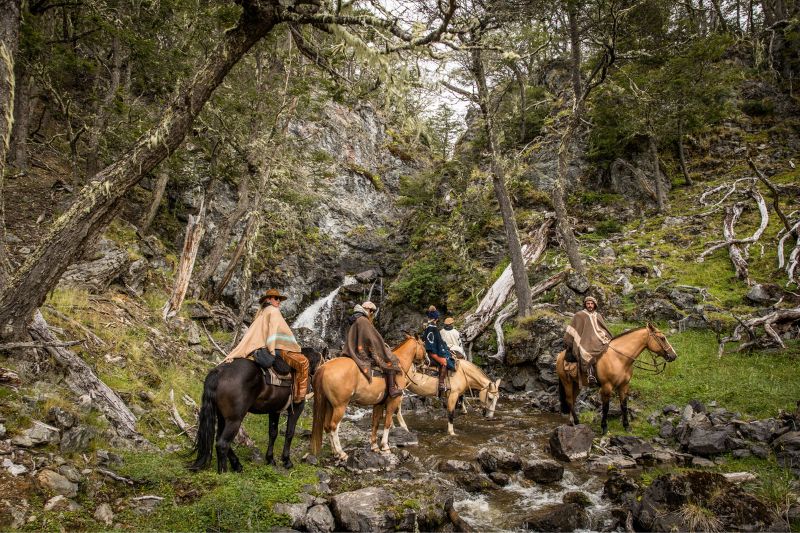 Horse riding through the forest in Tierra del Fuego, Patagonia
