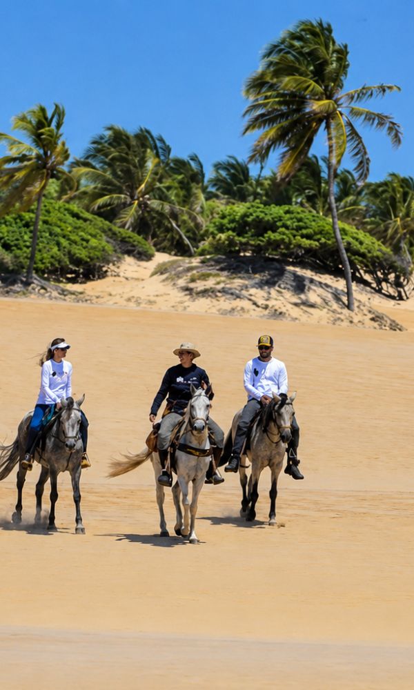 Beach riding in Brazil